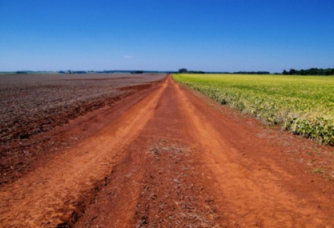 Odnowa i rozwój wsi