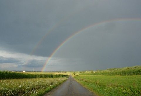 15 tys. nowych miejsc pracy dla mieszkańców wsi