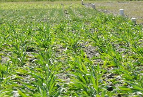 Poletka wystawowe ocenione na piątkę!