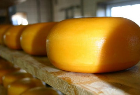 Większa produkcja polskich serów