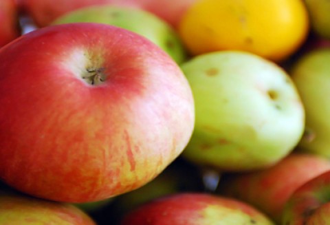 Promocja żywności ekologicznej i przetwórstwa na poziomie gospodarstwa na Targach Agrotravel