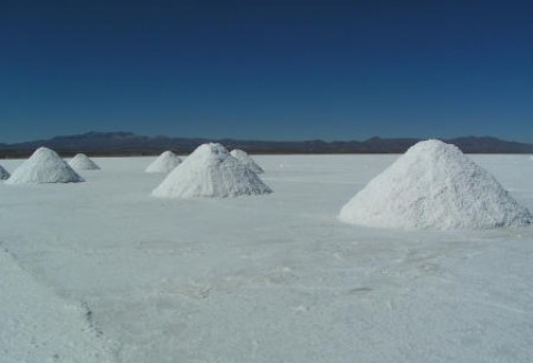 Komunikat nr 2 Głównego Lekarza Weterynarii dot. stosowania przez niektórych przedsiębiorców soli wypadowej