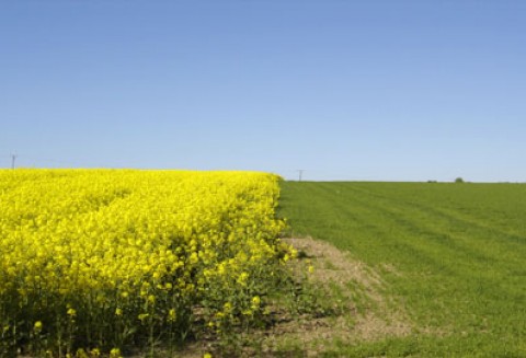 Polska prezydencja w UE: konferencja na temat gospodarki niskoemisyjnej