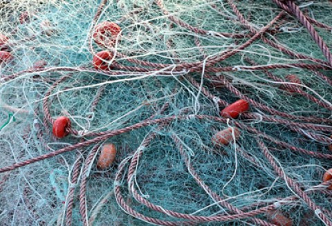 Konferencja prezentująca 