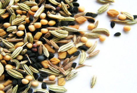 Spotkanie z Ambasadorem Nadzwyczajnym i Pełnomocnym Republiki Botswany