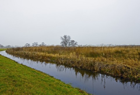 ARiMR zachęca do skorzystania z pieniędzy na scalenie gruntów i melioracje z PROW 2007-2013