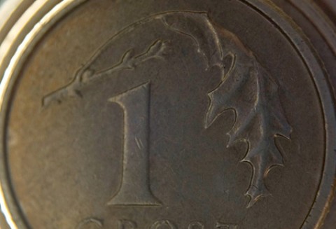 Trwa przyjmowanie wniosków o przyznanie dopłat bezpośrednich, wsparcia ONW i płatności rolnośrodowiskowych za 2012r.