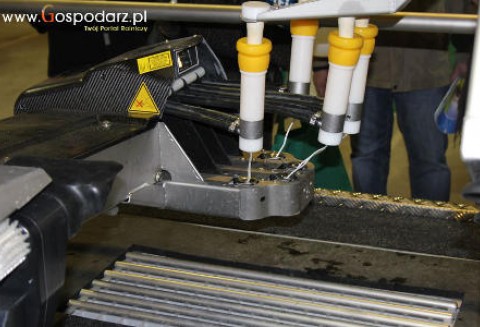 Ponad 5 miliardów złotych do rozdysponowania