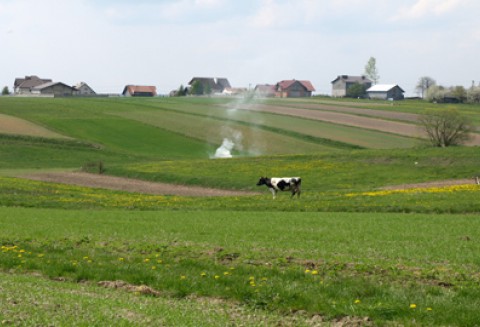 Wypłata wsparcia z tytułu ONW przebiega zgodnie z planem