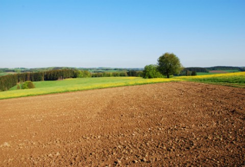 Już tylko kilka dni zostało na złożenie wniosków o przyznanie dopłat bezpośrednich, wsparcia ONW i płatności rolnośrodowiskowych za 2012r.