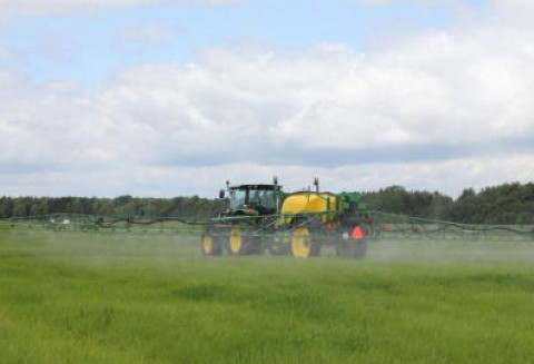 Ochrona roślin w gospodarstwie ekologicznym