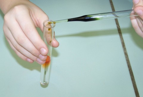 Spotkanie z Inspekcją Weterynaryjną w Wielkopolsce