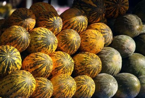 Turcja – Spadek produkcji melonów