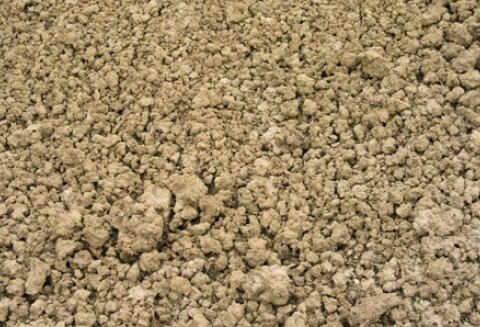 Agencja modernizuje Suwalszczyznę