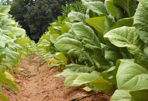 4 lata współpracy z organizacjami rolniczymi