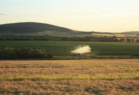 Pomoc związana z ujemnymi skutkami przezimowania