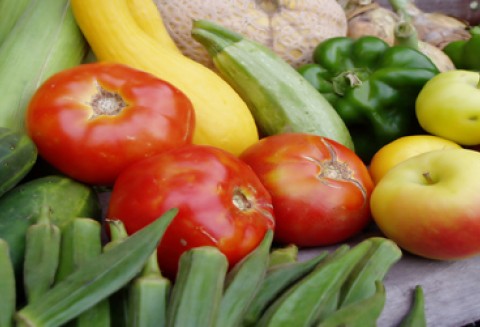 Wizyta ministra M. Sawickiego w Republice Czeskiej - dyskusje o przyszłości polityki rolnej