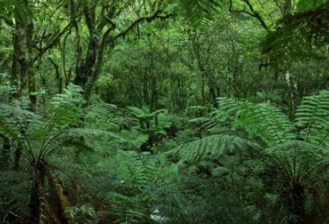 ARiMR rozpatruje przyjęte wnioski o wsparcie z działania PROW 2007-13 