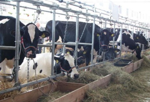 Spotkanie z European Milk Board