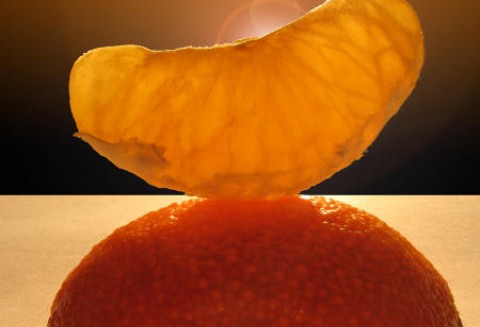 Turcja – Eksport cytrusów