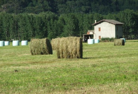 To były już trzecie targi AGROTRAVEL