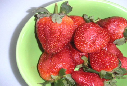 Konferencja prasowa ministra Marka Sawickiego