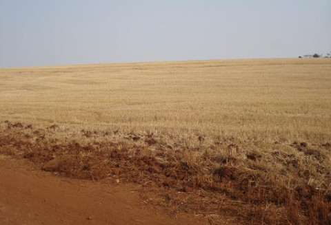 Ranking 300 po raz XVI