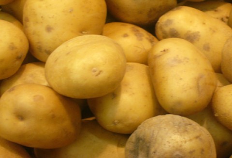 Uwaga producenci surowca tytoniowego oraz producenci ziemniaków skrobiowych