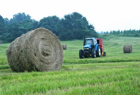 Trwa nabór wniosków o przyznanie pomocy na 