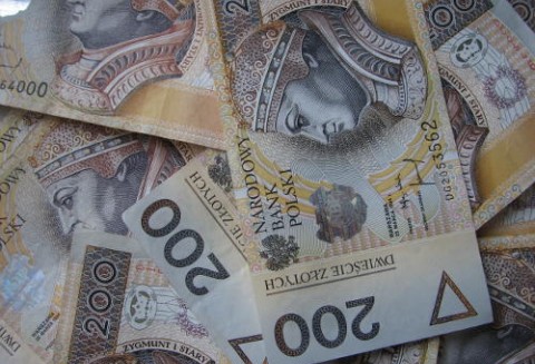 Lokalne Grupy Działania przyjmują wnioski o wsparcie inwestycji z PROW 2007-2013. W Polsce działa 336 takich grup.