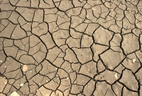 Susza w Europie jest największa od stu lat