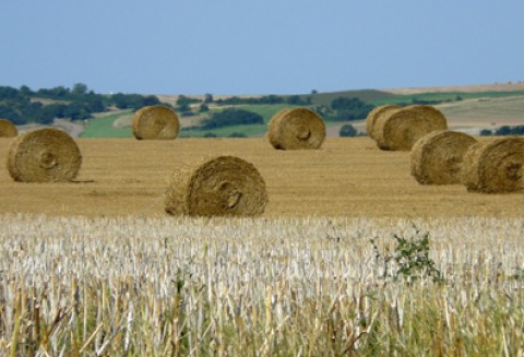 PROW 2007-2013 - ocena bieżąca