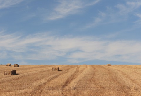 Spotkanie z ambasadorem Republiki Korei