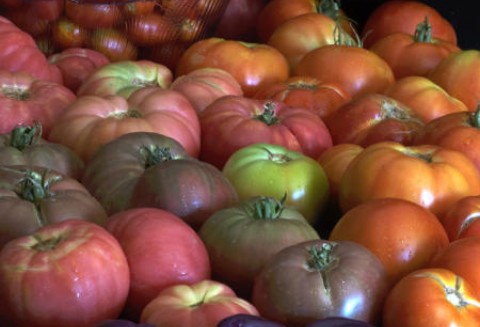 Polskie produkty są w modzie