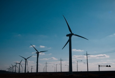 Dong Energy analizuje możliwość budowy dużej instalacji do produkcji bioetanolu z biomasy stałej