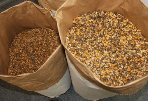 „Wpływ pasz GMO na produkcyjność i zdrowotność zwierząt, transfer transgenicznego DNA w przewodzie pokarmowym oraz jego retencję w tkankach i produktach żywnościowych pochodzenia zwierzęcego”