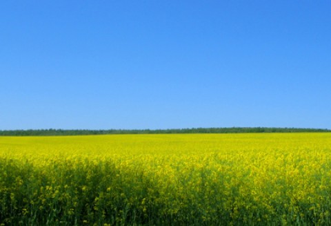 I Ogólnopolska Konferencja