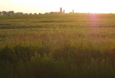 II Ogólnopolskie Forum Gorzelników ZGP