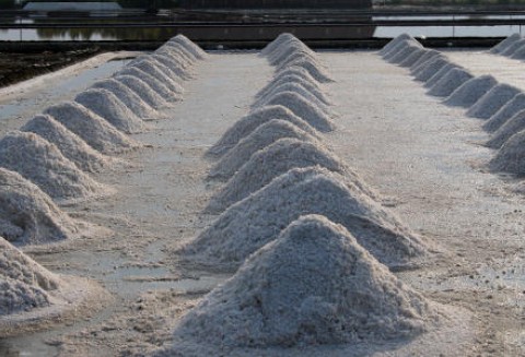 Komunikat Głównego Lekarza Weterynarii dotyczący stosowania przez niektórych przedsiębiorców soli wypadowej