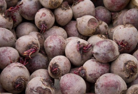 Mniejszy areał upraw buraków cukrowych