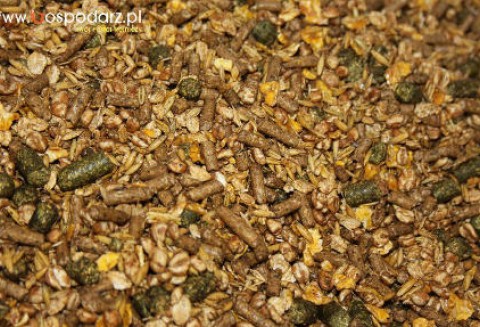 Informacja Głównego Lekarza Weterynarii w sprawie nielegalnego stosowania mączek mięsno - kostnych w żywieniu zwierząt gospodarskich