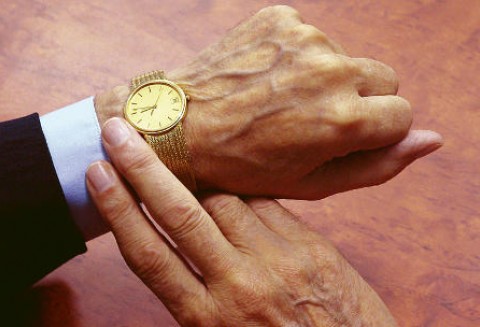 Spotkanie z Parlamentarnym Sekretarzem Stanu w Ministerstwie Rolnictwa Niemiec