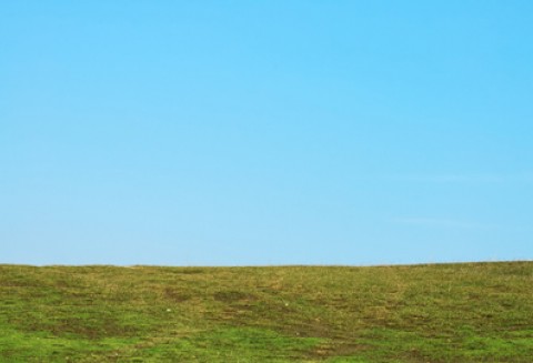 Dzień Pola i Forum w Mszczyczynie