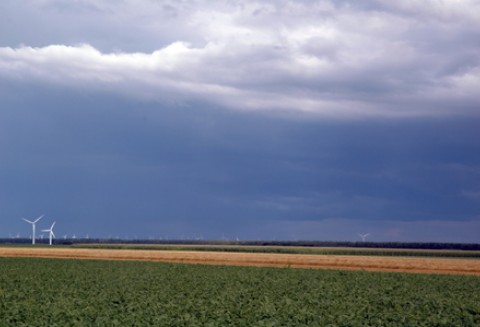 Nowy formularz „Zgłoszenia podjęcia działalności w zakresie rolnictwa ekologicznego”