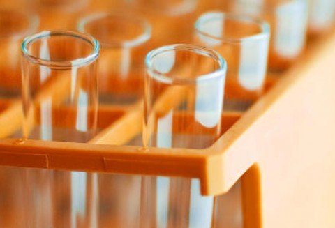 Podsumowanie działalności laboratoriów Głównego Inspektoratu Jakości Handlowej Artykułów Rolno – Spożywczych w 2010 roku.