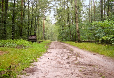 Duża transakcja na Mazowszu