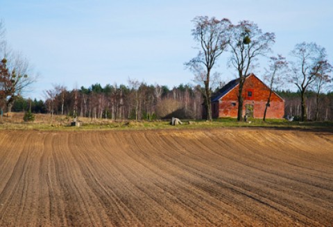 ARiMR ustaliła kolejność w jakiej przysługiwała będzie pomocy mikroprzedsiębiorcom, którzy chcą tworzyć nowe miejsca pracy na wsi