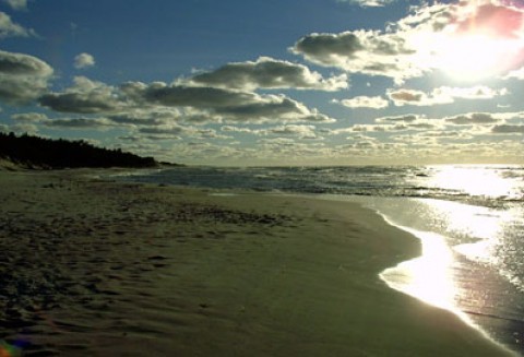 Zostań rolnikiem roku!