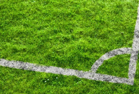 Grunty przekazane przez ANR samorządom