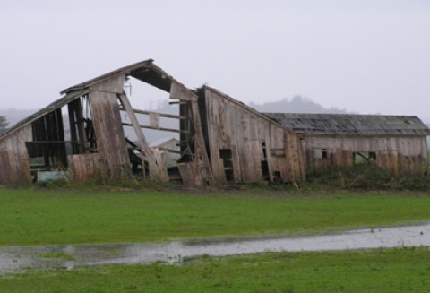 Rolnicy poszkodowani w wyniku klęsk żywiołowych mogą też skorzystać z preferencyjnie oprocentowanych kredytów